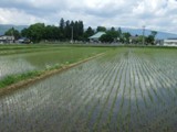 DSCF3309.JPG